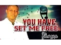 Download Lagu Bro. Gilbert Okolie - You Have Set Me Free - Nigerian Gospel Songs