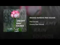 Blustery Sundown Rain Sounds