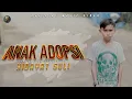 Download Lagu Hidayat Suli - Anak Adopsi