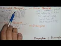 FSc I Ch The Cell Structure Chemical composition Functions of Plasma Membrane
