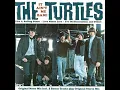 It Ain't Me Babe (Mono) - The Turtles