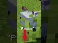 How To Get ANY Cape In Minecraft without mods