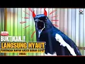 Download Lagu 🛑KICAU BURUNG KACER NGEPLAY GACOR ‼️Suara NGEPLONG Ampuh untuk Pancingan Kacer Nyaut EMOSI‼️