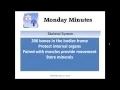 EMS Quick Study Tips Skeletal System