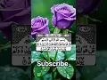 Download Lagu surah ekhlas ki tilawat payari aawaj me #ytshorts #quotes #wazifamehfil #islamicquotes