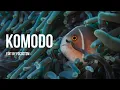 Download Lagu Komodo - Lady Denok Liveaboard August 2019 🤙