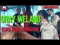 ORAY WELANG versi Kuda renggong 👍👍👍👍    live music (nyalindung cileunyi)