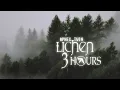Aphex Twin - Lichen (Fully looped) [3 Hours]