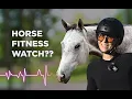 Honest Review Garmin Blaze Equine Wellness System