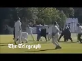 Amateur cricket match descends into mass brawl after cheating claims