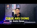 Download Lagu LAGU DANSA VIRAL || KIZOMBA TERBARU 2022 - CULIK AKU DONG || COVER BY. ANDRO SERAN