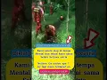Download Lagu Diklat Ormas Pemuda Pancasila!