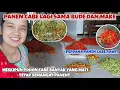 Download Lagu MANY CHILI TREES DIED, STILL ENTHUSIASTIC ABOUT HARVESTING WITH BUDE \u0026 MAKE‼️ THANK GOD FOR FORTU...