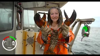 #205 WEIRD and WACKY Lobster Fishing – You Won’t Believe What was Caught! | MAINE | Sailing Sisu