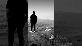 وانا سامعك سامعك سامعك Youtubeshorts اكسبلور Foryou Comedy Funny Youtube Tiktok 