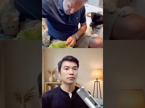 Khoảnh khắc đẹp của người chủ và chú cún nhỏ ❤️ shorts