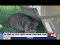 Dozens of animals taken from Jonesboro hording situation