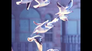 رقيه شرعيه لعلاج الوسواس ماهر المعيقلي 