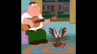 قزقز كابوريا  دندنها