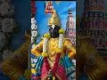 Lagu Pandharpur Vitthal Rukmini Mandir 🛕|| Pandharpur Darshan #minivlog #youtubeshorts #viral #trending