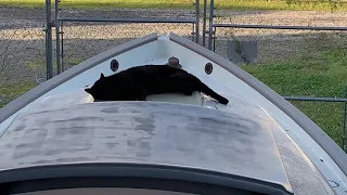 Finishing Details Aboard Blossom