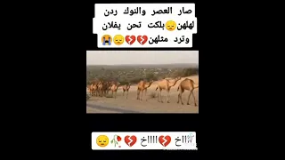 بسته الفنان الریفی دوای غاچی دوای قاچی بسته احمید یا یمه آکسپلور ریف غناء ظیم تفليش 