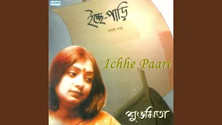 ami brishti chaai
