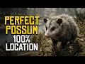 Red Dead Redemption 2 perfect possum location 100