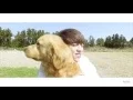 Download Lagu Love Letter -Seventeen Mv ENGSUB
