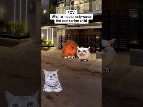 CAT MEMES 🐱When a Mother Only Wants the Best for Her Child #catmemes #relatable #relationship