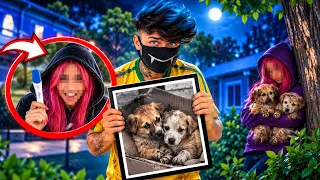 ALGUÉM ROUBOU OS CACHORRINHOS DE RUA DO MATHEUS KRIWAT *Quem foi!?