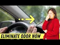 How to Remove Cigarette Smell from Your Car Instantly