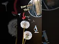 Download Lagu 👈🏻 Flying Seeds under microscope #dandelions #zoom #shorts #seed