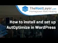How to install and set up AutOptimize in WordPress