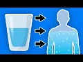 Lagu This Happens To Your Body When You Start Drinking More Water Every Day