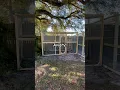 Custom Aviary