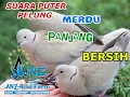 Download Lagu Suara Puter Pelung Merdu Panjang, Salah satu Materi Kandang ANZ BF Sumenep