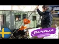 Download Lagu STIHL GHE 150.0 hakselaar voor mulch in Zweden