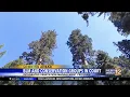 Three conservation groups challenging BLM forest plan in Medford federal court