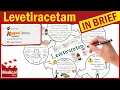 Levetiracetam 500 mg Keppra What is Levetiracetam Keppra Uses Dosage and Side Effects
