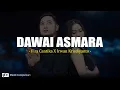 Download Lagu Dawai Asmara - Fira Cantika X Irwan Krisdiyanto (Lirik)