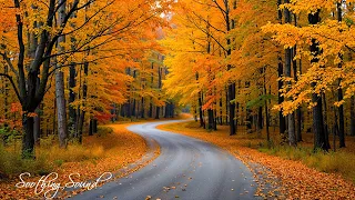 Beautiful Autumn Music Calming The Soul With Gentle Tunes 