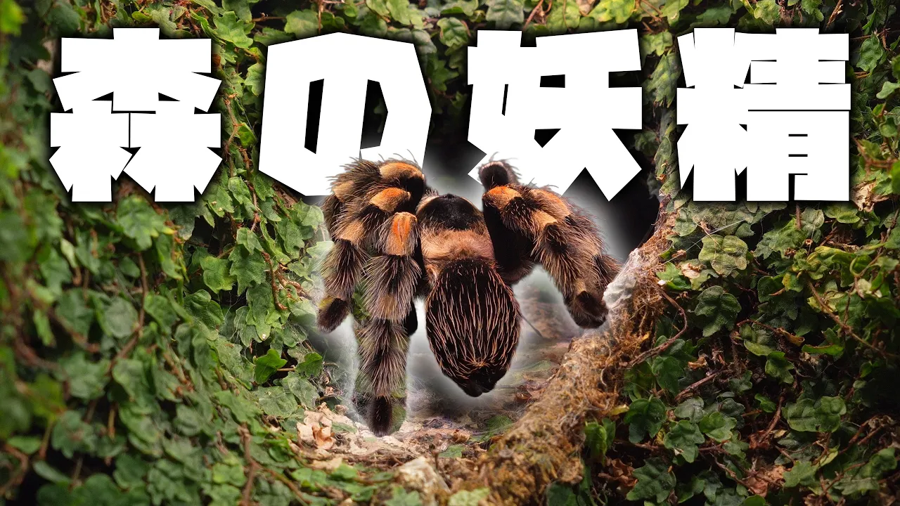 天じい元気だよ