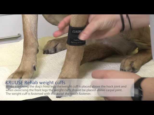 Kruuse Rehab Weighted Cuffs for Dogs - 1 Pair