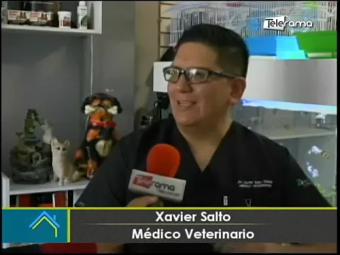 Factores que influyen en la longevidad de su mascota