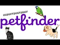 Petfinder TM and ADOPTING Resources PLZ ADOPT