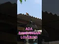 Download Lagu NANGKAP BANDANGAN LOVEBIRD BURUNG SIAPA YANG LEPAS