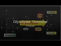 Glycolysis Brief Overview