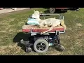 Download Lagu Sheep has learned to drive motorized wheelchair