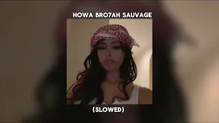                     دندنها